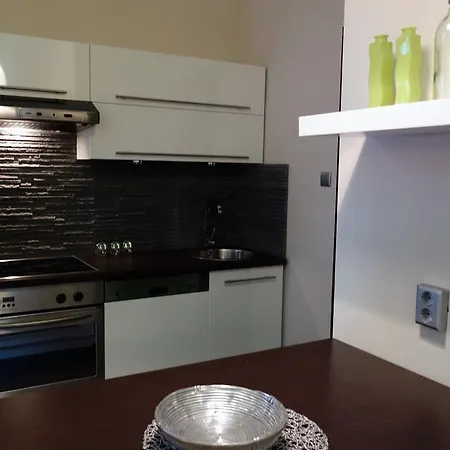 Vivid Csengery Apartament
